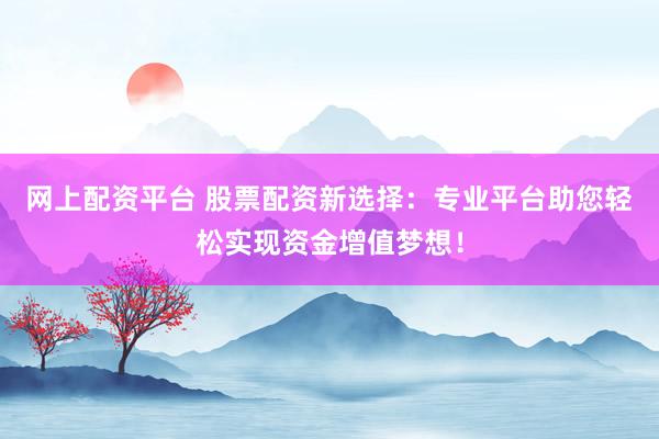 网上配资平台 股票配资新选择：专业平台助您轻松实现资金增值梦想！