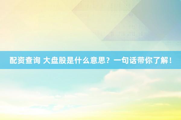 配资查询 大盘股是什么意思？一句话带你了解！