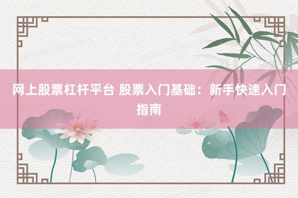 网上股票杠杆平台 股票入门基础：新手快速入门指南